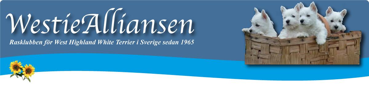 Toplogga sommar 2024